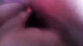 امريكا الشمالية مترجمه