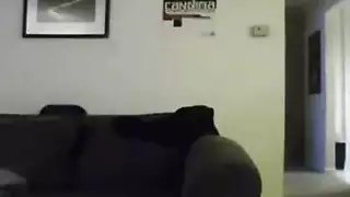 نابيله عبيد تمت ممارسة الجنس معها في فيلم إباحي صريح