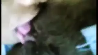 عمل جماعي لوطء البهائم إكس إكس إكس