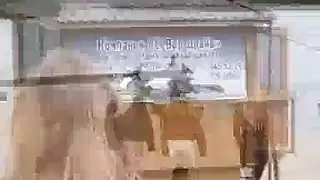 صديقة حميمة شابة تتحكم في مشهد غرفة نوم صريح