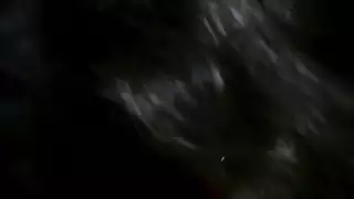 جماع الجبهة: لقاء إباحي غريب