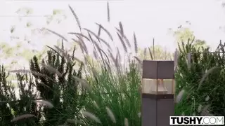 الطالب يمارس الجنس مع قضيب طويل متر