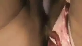 تيك مع الكلاب والحصان
