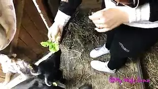 سكس نيك باسكال مشعلاني