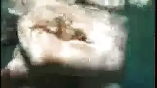 روكو يفصلها ثم يمارس الجنس مع صدرها الصغير بقسوة