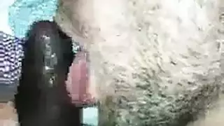 تمص حلقه بقضيبه حتى يصبح صلباً كفاية للضرب