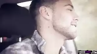 ريغال فوكست