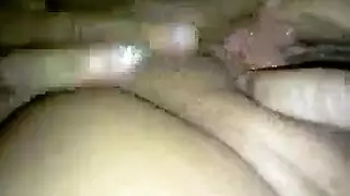 فيدبو حقسق