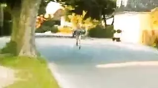 تعنيف لكس باليد
