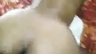 سِکْسِ وٌهّيَ تٌشُربً آرکْيَلَهّ