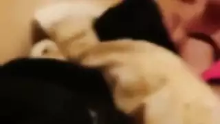 جنس خشن مع فتاة مغربية تبكي وتتوسل يا حبيبي