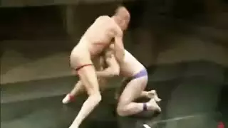 إباحية متحركة: خيال مثلية ثلاثية