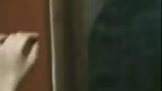 سكس ساخن نار قوي مترجم عربي كلام يهيج