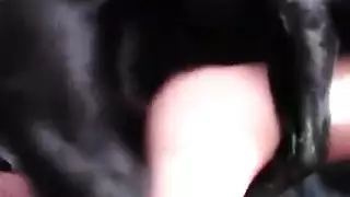 سكسي مرة مع كلب