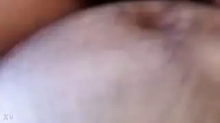 العربية ركوب الديك الهندي
