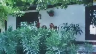 عراقيه انستا