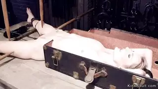 الإمتصاص النفس معصوب العينين حديقة