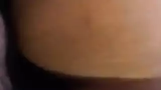 حمار جائع يتلقى طعناً وضعية الكلب
