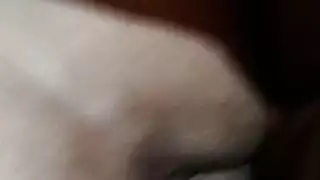 أخذ الأدوار على مؤخرة عملاقة في هذا الفيديو الصريح