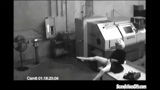 كس شقراء محلوق تلتهمه سمراء في مشهد قوي