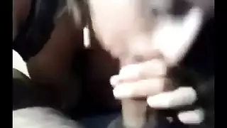 مثير مص مصري الديك xmxxx skex سقوط