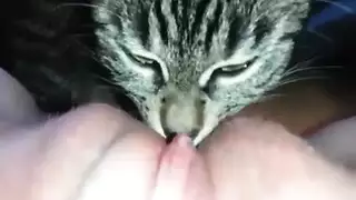 محرم إكس إكس إكس: حركة بين حيوان وبنت