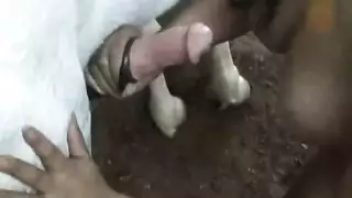 نيك بوضعية الفروسية مع صفع قاسي للقماش