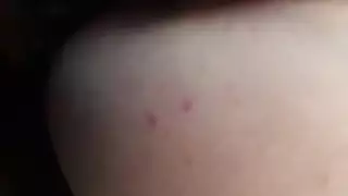 نيك مكان عمل مترجم