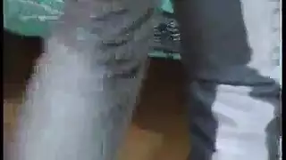 عاهرات مراهقات لا تكف عن رغبتها بقضيب المعلم بين الحصص