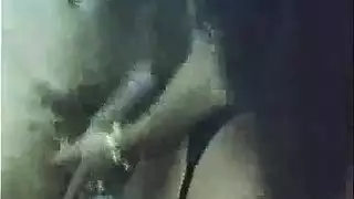 طوىلة القامة
