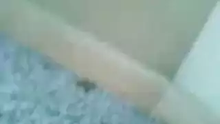 فيلم فانتازيا جنس حيوانات تابو هاردكور