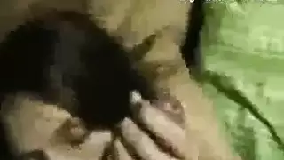 تصحيح أوراق ثم أخذ قضيب قوي