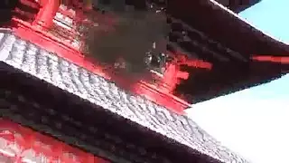 ميت في موقف اللوتس وتحفز تماما، لقد حان الوقت للزوجين بين الأعراق