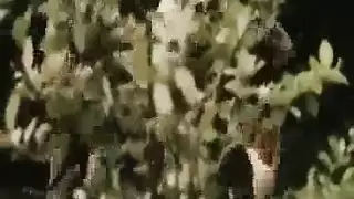 عرض القضيب الأصلع – فيديو للكبار جديد