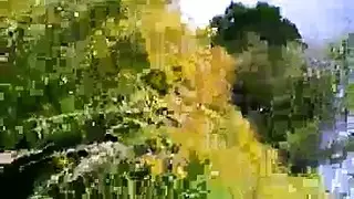 افلام موقع امير ضلام