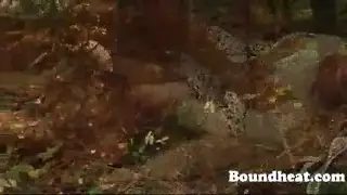 الخضوع الكامل: العبد يتلقى الأحمال في كل الفتحات