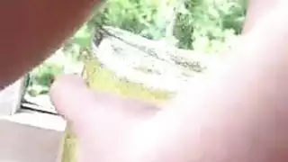 تبول التبول في وجهك سخيف