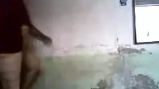 بقر مع بقر