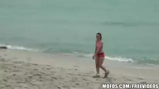 الزنجبل