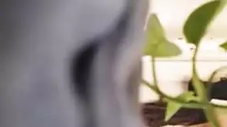 تتمتع أمي المشاغب في كل لحظة لديها مع رجل متزوج من خطوة ابنها