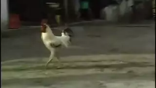علاقه مع الاطفال