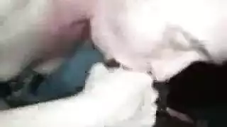 شقراء لطيفة هواة تدمر مهبلها الضيق