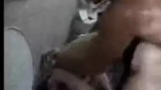 سكس شاب وامو مترجم