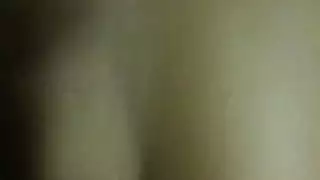 شرج عربي: نسخة نجمات البورن