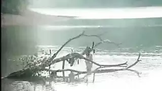 ذروة السحاق