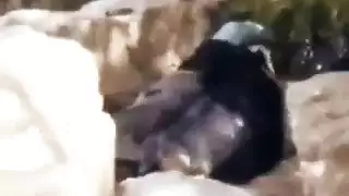 افلام هادية جنس
