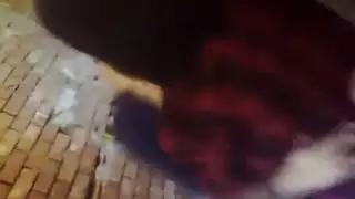 الواد ماسك خطيبته بوس ومش صابر وعايز ينيكها وهيا سايباه