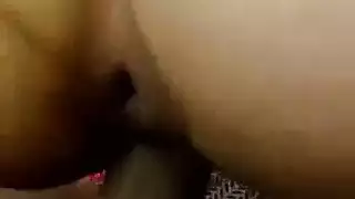 الفتات السمراء السمينة