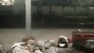 ركوب قاسي: مراهقة تقفز على قضيب صلب