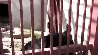 سكسي بنات اثنين ورجل يقذف كسها